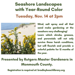 Seashore Landscapes 